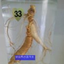 남성의 정력에 좋다는 산삼주 이미지