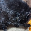 이마트24 고한대박점 | 그정도 판단 능력은 있습니다