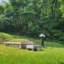 심상우묘 이미지