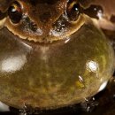 GIANT&PLAY ZONE 이미지