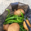 소은농장 이미지