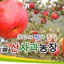 금풍농원