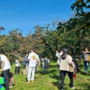 청도군-1 이미지