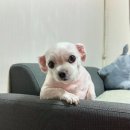 가나엔터테인먼트 네이버블로그