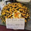 고매사거리 | [용인] 기흥 고매동 갈비 맛집, 친절함의 끝판왕 ‘더담아’ 솔직 후기 (내돈내산)