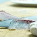 섬바다민박 이미지