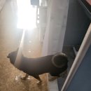 개포동월드 이미지