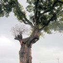 덕문중학교 이미지