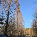 고봉배수지체육시설 이미지