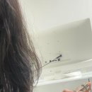 헤어톡 이미지