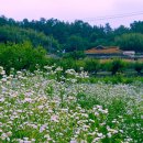 삼주세탁소 이미지
