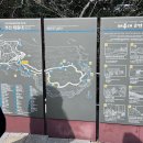 멍애전망대입구(주차장) | 부산여행 태종대, 주차장 위치와 영도등대와 전망대까지, 다누비열차 이용 후기