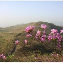 초콜릿 펜션 이미지