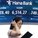 노후자금부터 자식들 종잣돈까지 다 녹았다…개미 '피눈물' 이미지