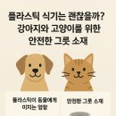 강아지와 고양이 | 플라스틱 식기는 괜찮을까 강아지와 고양이를 위한 안전한 그릇 소재