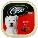 시저 쇼핑하우
