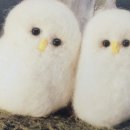 메리트공인중개사사무소 네이버블로그