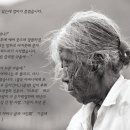 어머니