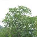 옥산마을 이미지