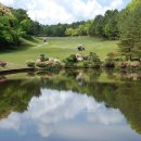 헬로우골프투어 이미지