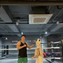 복싱인사이드 헝크짐 이미지