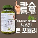 뉴포뮬러