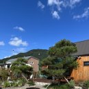 해원의 작은집 | 에어비앤비 춘천 해원의 작은집 3번 방문한 솔직 후기 춘천 애견 독채 추천