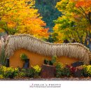 마로니에길 이미지