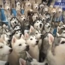 카페소동 이미지