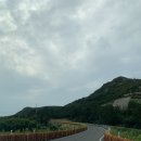 새만금꽃화원 | 군산 신시도 자연 휴양림(잎새달) 여름휴가1일차(220810~220811)