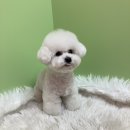 또또살롱 이미지