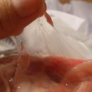 시퀀스무브먼트 이미지