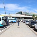 돼지민박 이미지