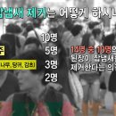돈마유통