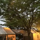 대둔산 글램핑 캠핑장 이미지