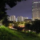 9월 둘째주~추석 먹방 일상 요약.zip