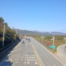 덕평육교