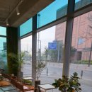 심학산로 | 파주이색카페 파주롯데아울렛 식물원 카페 추천 식물정거장 방문후기