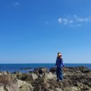 (주)블루칩스 이미지