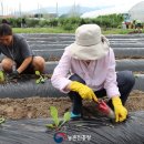 영주로1L 이미지