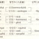 영원한 올챙이 이미지