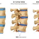 행정사 최경록 사무소 이미지