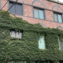 FONT(퐁트) 이미지