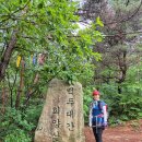 (주)성화골재 지점 | 숙지제로 남은 백두대간 은티마을~버리미기재! 은티마을~구왕봉~은티재~은티마을, 버리미기재~장성봉...
