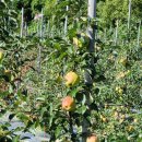 북리할머니경로당 이미지