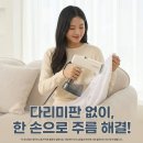 라이브박스 스팀 다리미 진공 흡착 여행용 미니 핸디형 솔직 후기
