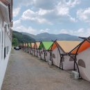 엠알렌트카여행사 이미지