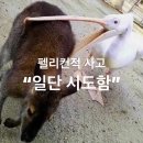 너네가안써서내가직접쓰는블로그