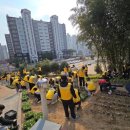 이충무공 어머니 사시던 곳 이미지