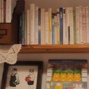 이치비민박 | 제주 서귀포 이치비민박 책과 고양이가 함께하는 감성숙소